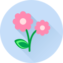 Цветок icon