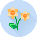 Цветок icon