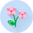 Цветок icon