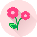 Цветок icon