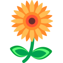 flor icon