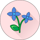 flor icon