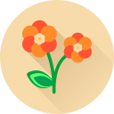 Цветок icon