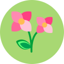 flor icon