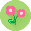 Цветок icon