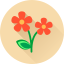 Цветок icon