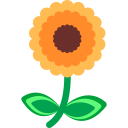 flor icon