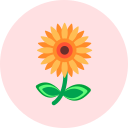 flor icon