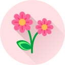 Цветок icon