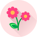 Цветок icon