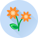 Цветок icon