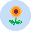 flor icon