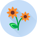 Цветок icon