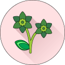 flor icon