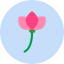 flor icon