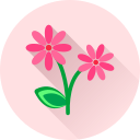 Цветок icon