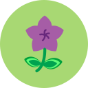 flor icon