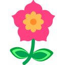 flor icon