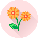 Цветок icon