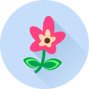 Цветок icon