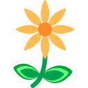 flor icon