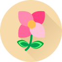 flor icon