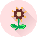 flor icon