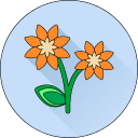 flor icon