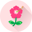 flor icon