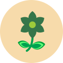 flor icon