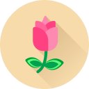 flor icon