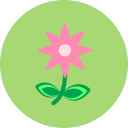 flor icon