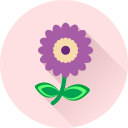 flor icon