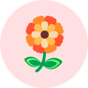 flor icon
