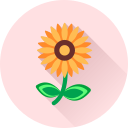 flor icon