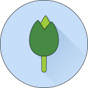 flor icon