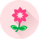 flor icon