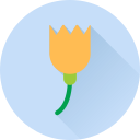 flor icon