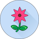Цветок icon