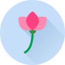flor icon