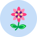 flor icon