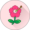 Цветок icon