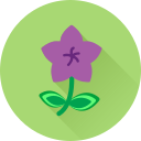 flor icon