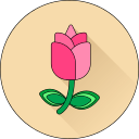 Цветок icon