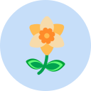 flor icon