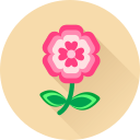 flor icon