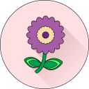 Цветок icon