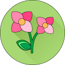 Цветок icon