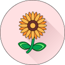 Цветок icon