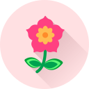 flor icon